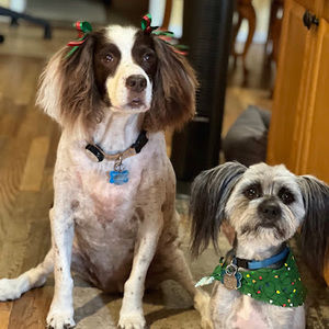 Meet your Posher, Andrea